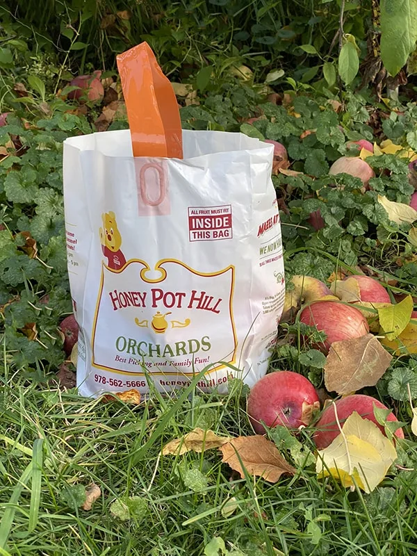 Apple Picking Massachusetts Apple Picking Bag