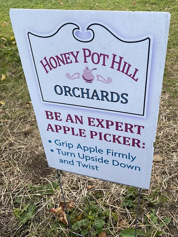 Apple Picking Massachusetts Honey Pot Hill Orchards