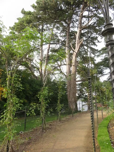 Blenheim Palace Rose Garden Path
