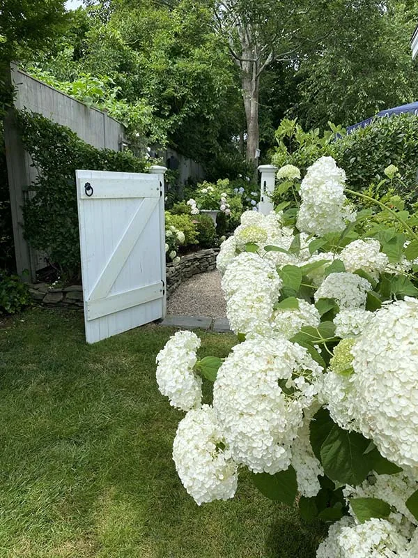 Cape Cod Hydrangea Festival Garden Gate