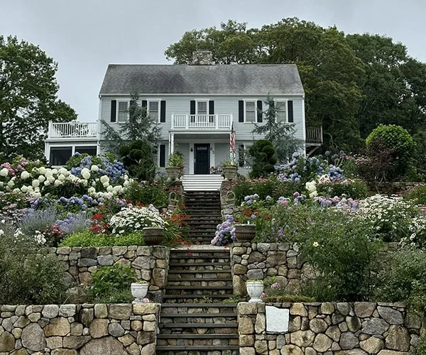 Cape Cod Hydrangea Festival Prince Way Garden South Dennis