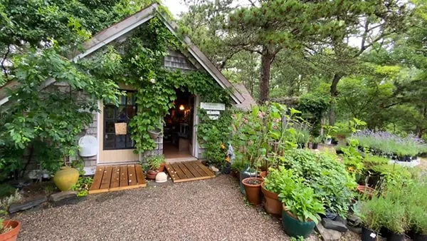 Cape Cod Lavender Farm Outside the Shop