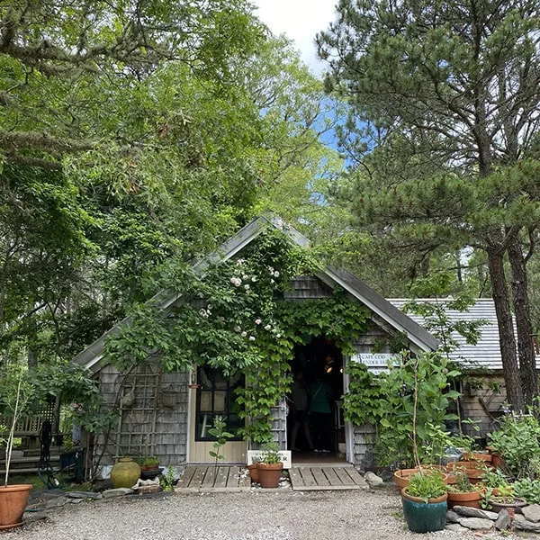 Cape Cod Lavender Farm Shop in the Woods