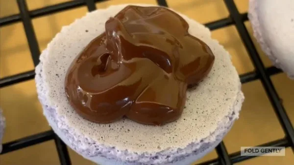French Macarons Add Filling
