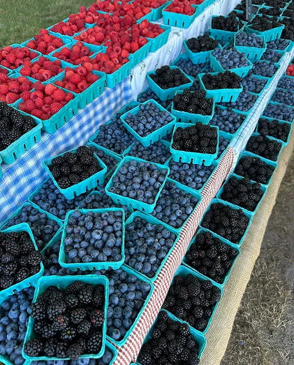 Fresh Berries at the Farmers Market