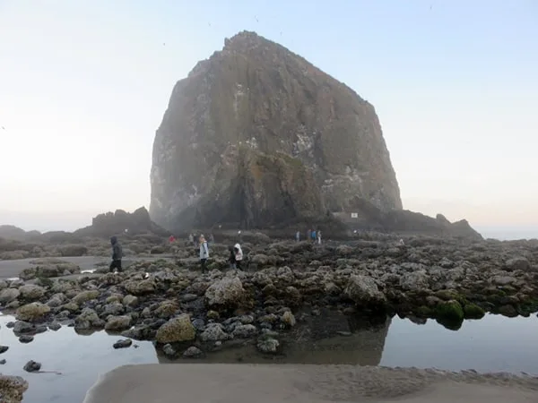 Haystack Rock Oregon Tide Pools