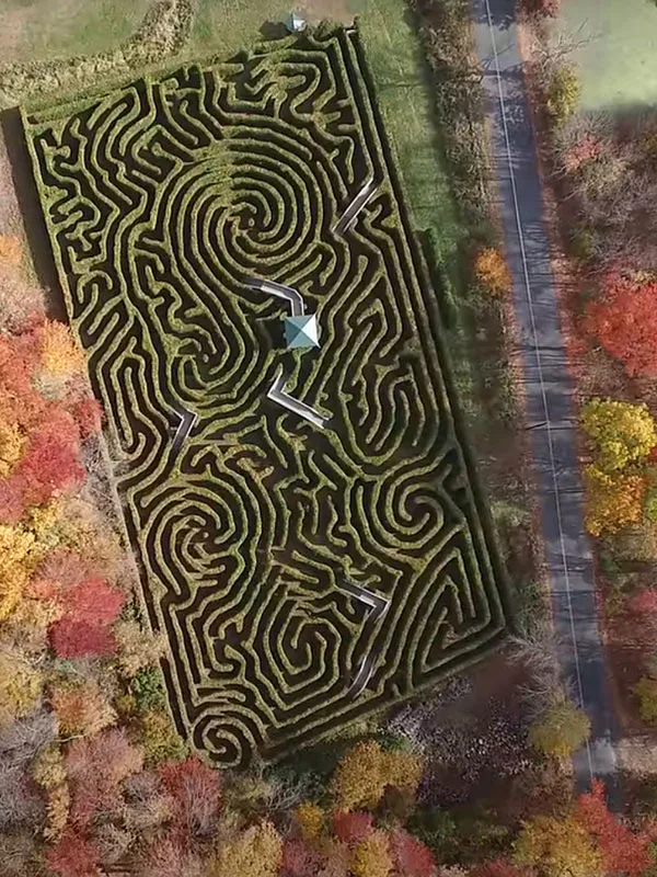 Honey Pot Hill Orchards Big Green Monster Maze