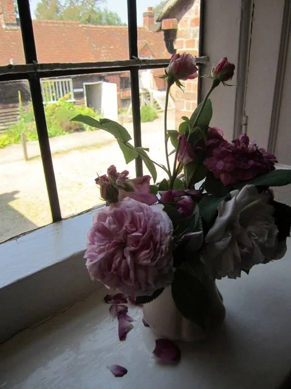 Jane Austen House Bedroom into Courtyard