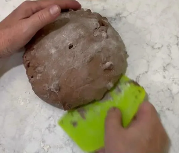 No Knead Dutch Oven Bread Variations Shape the Dough