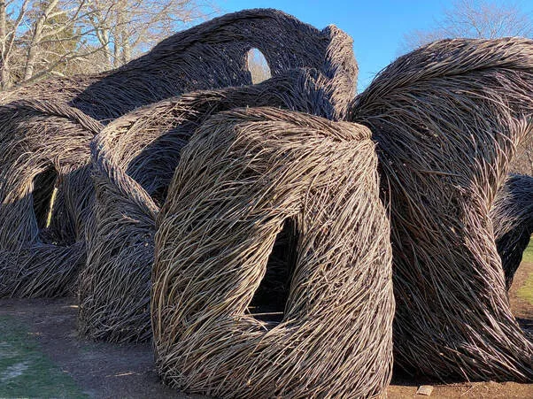 Patrick Dougherty Stickwork A Passing Fancy December 2020