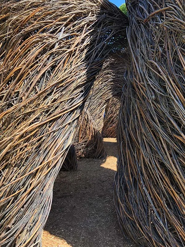 Patrick Dougherty Stickwork A Passing Fancy