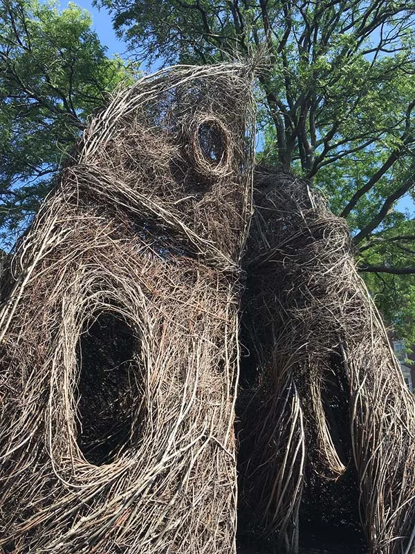 Patrick Dougherty Stickwork What The Birds Know 2