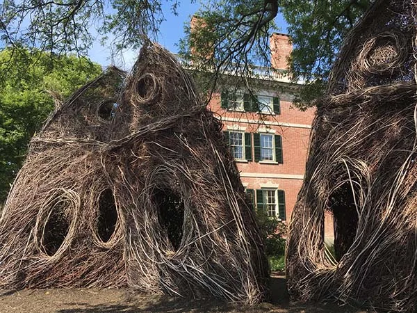 Patrick Dougherty Stickwork What The Birds Know 3