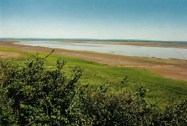 Tidal Bore Rafting Bay of Fundy Low Tide